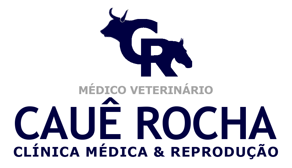 Dr. Cauê Rocha - Médico Veterinário Clínica Médica e Reprodução de Grandes Animais